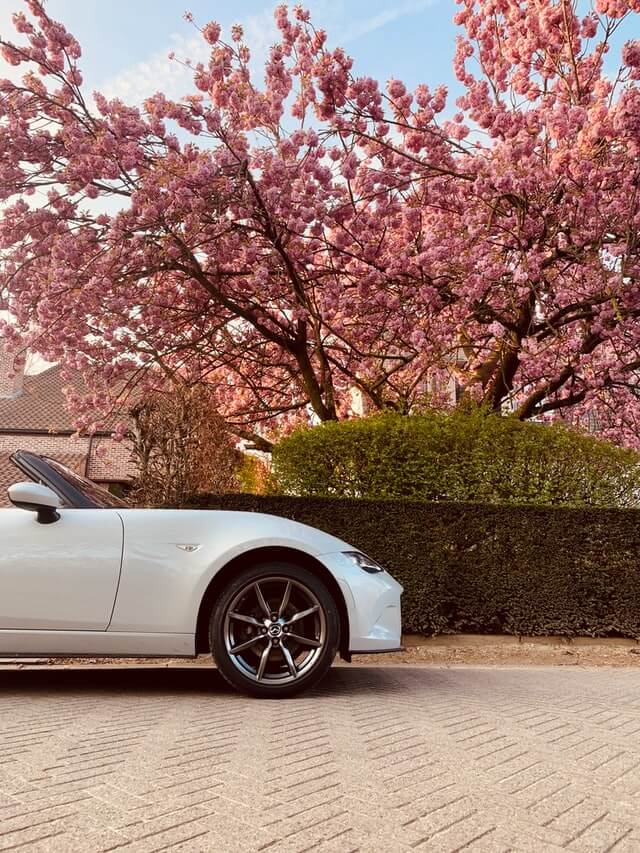 White Mazda ND Miata under pink blossoming tree